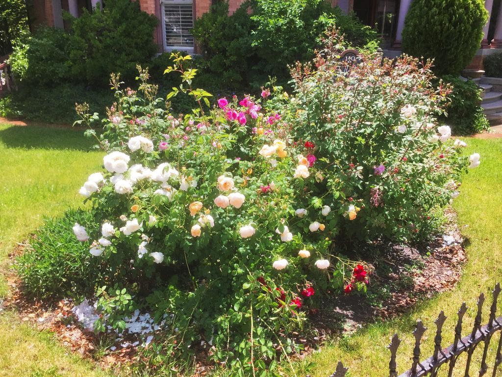 Historic Ellerbeck Mansion Bed & Breakfast Salt Lake City Esterno foto